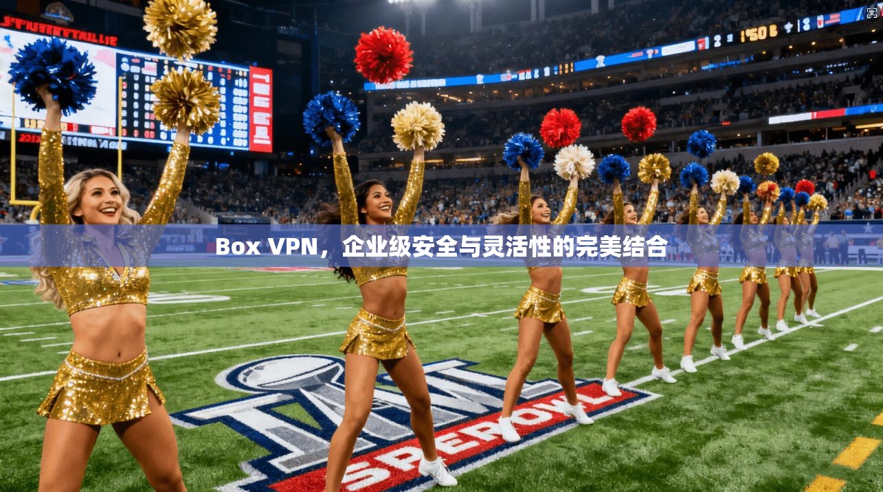 Box VPN,企业级安全与灵活性的完美结合 Box VPN,企业级安全与灵活性的完美结合