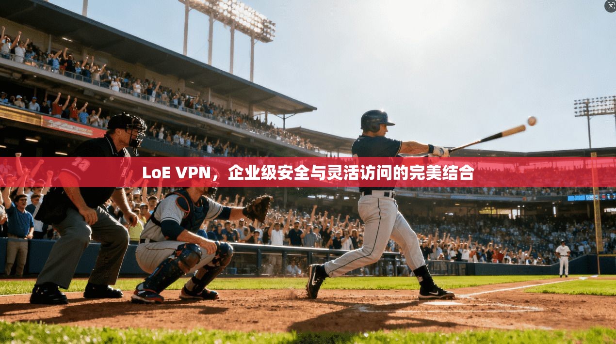 LoE VPN，企业级安全与灵活访问的完美结合