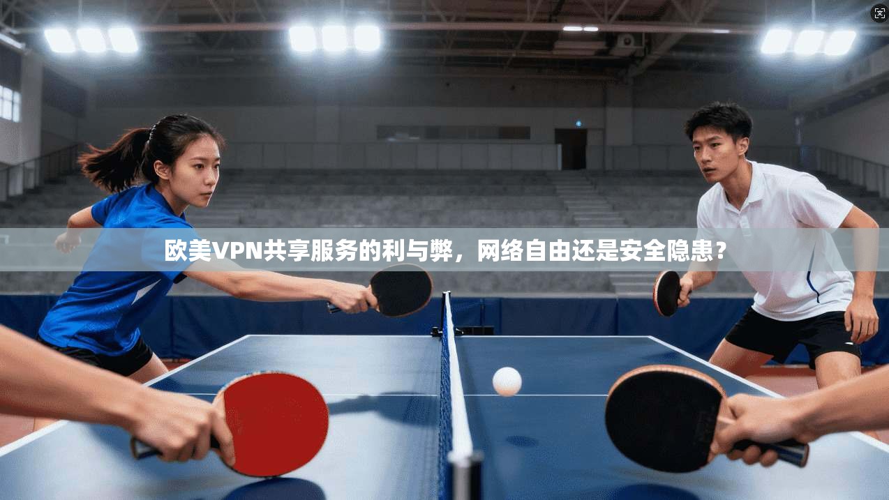 欧美VPN共享服务的利与弊，网络自由还是安全隐患？