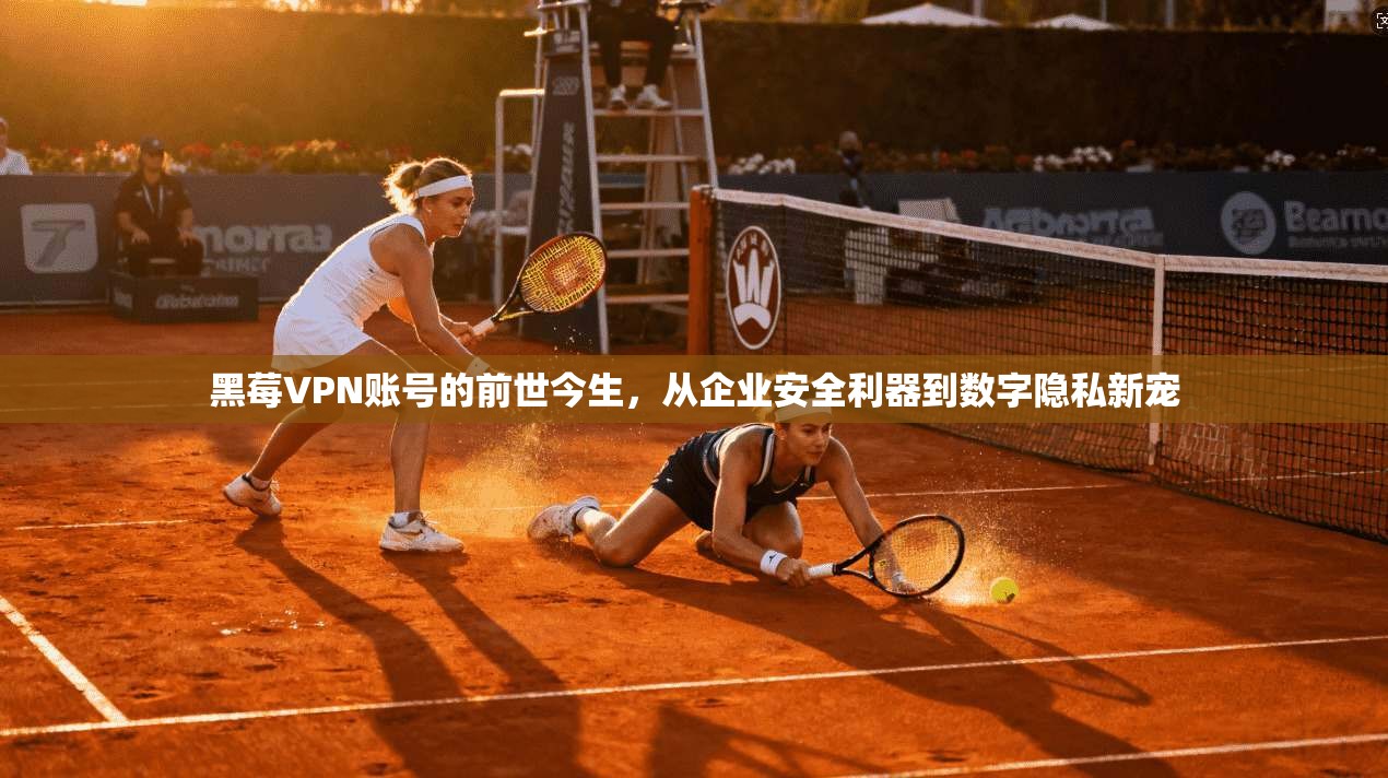 黑莓VPN账号的前世今生，从企业安全利器到数字隐私新宠