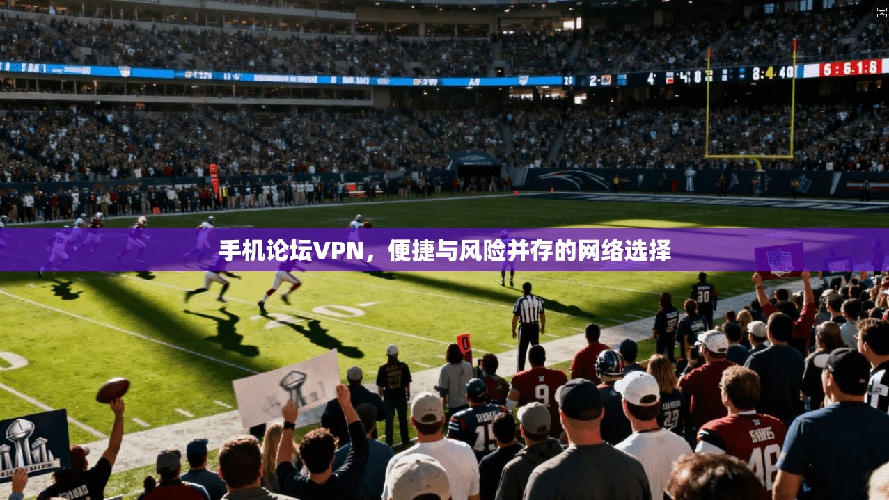 手机论坛VPN，便捷与风险并存的网络选择