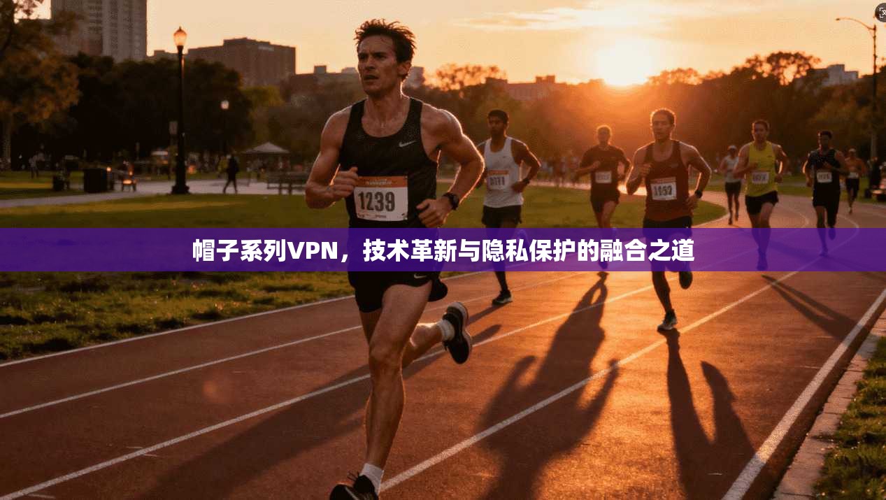 帽子系列VPN，技术革新与隐私保护的融合之道
