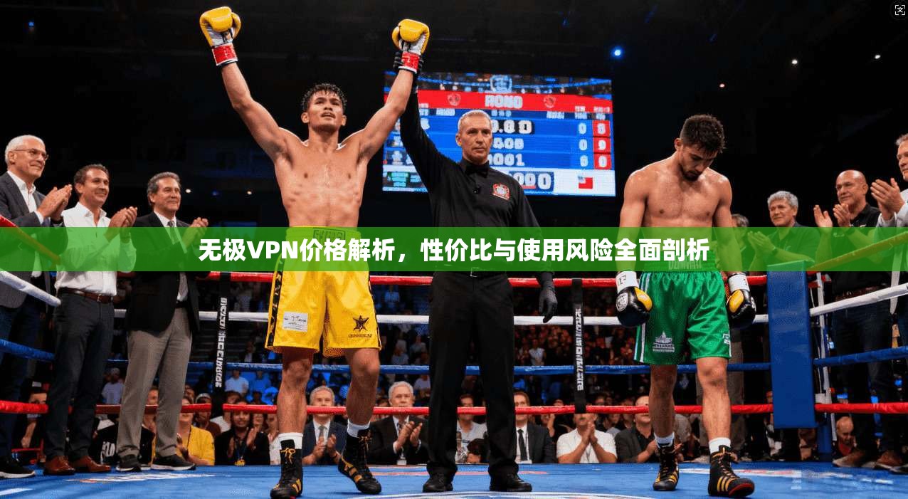 无极VPN价格解析，性价比与使用风险全面剖析