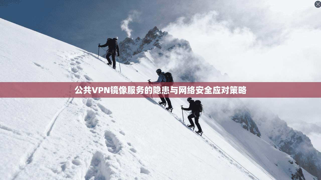 公共VPN镜像服务的隐患与网络安全应对策略