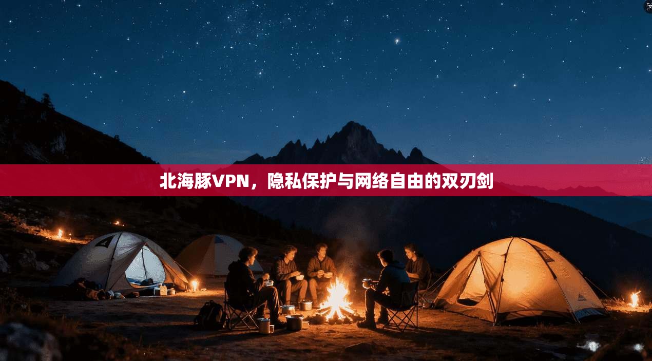 北海豚VPN,隐私保护与网络自由的双刃剑 北海豚VPN,隐私保护与网络自由的双刃剑