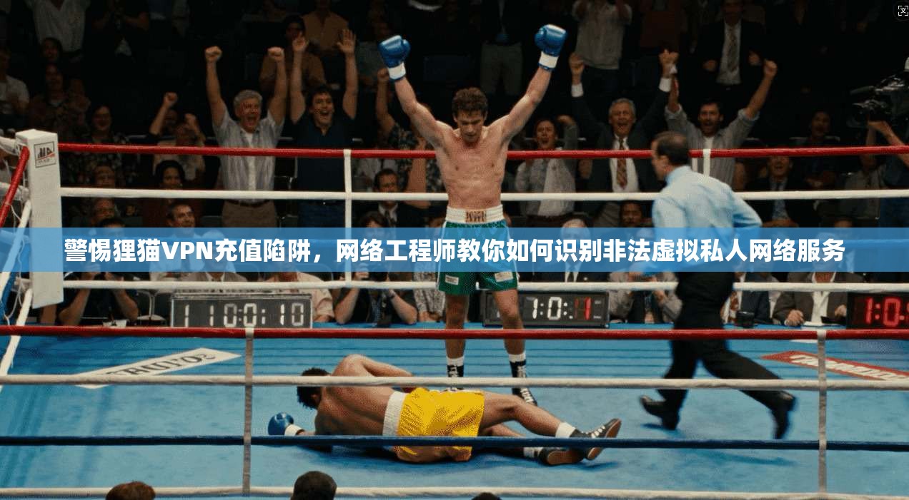 警惕狸猫VPN充值陷阱，网络工程师教你如何识别非法虚拟私人网络服务