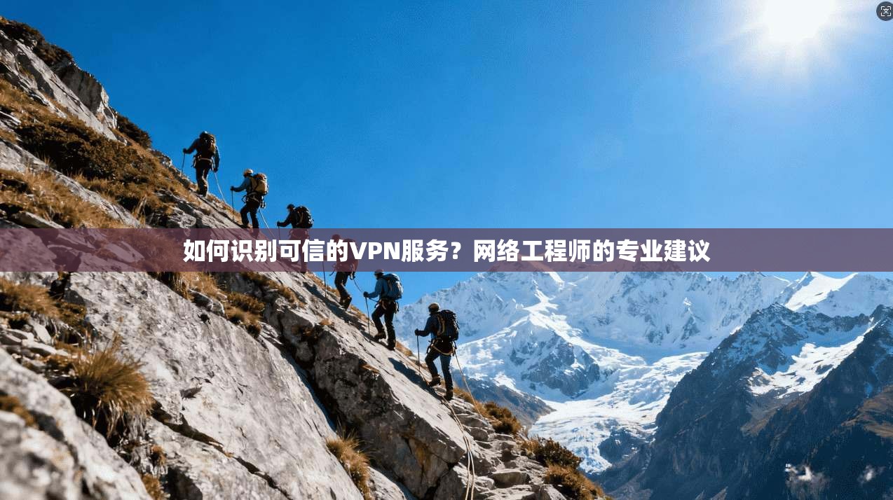 如何识别可信的VPN服务?网络工程师的专业建议 如何识别可信的VPN服务?网络工程师的专业建议