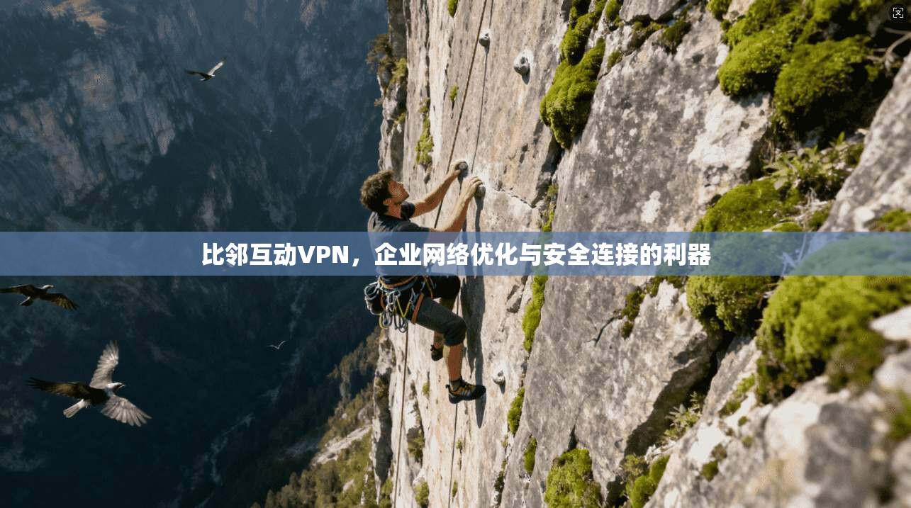 比邻互动VPN,企业网络优化与安全连接的利器 比邻互动VPN,企业网络优化与安全连接的利器