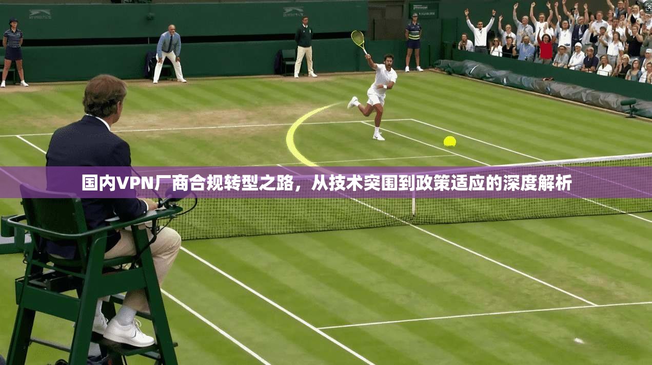 国内VPN厂商合规转型之路，从技术突围到政策适应的深度解析