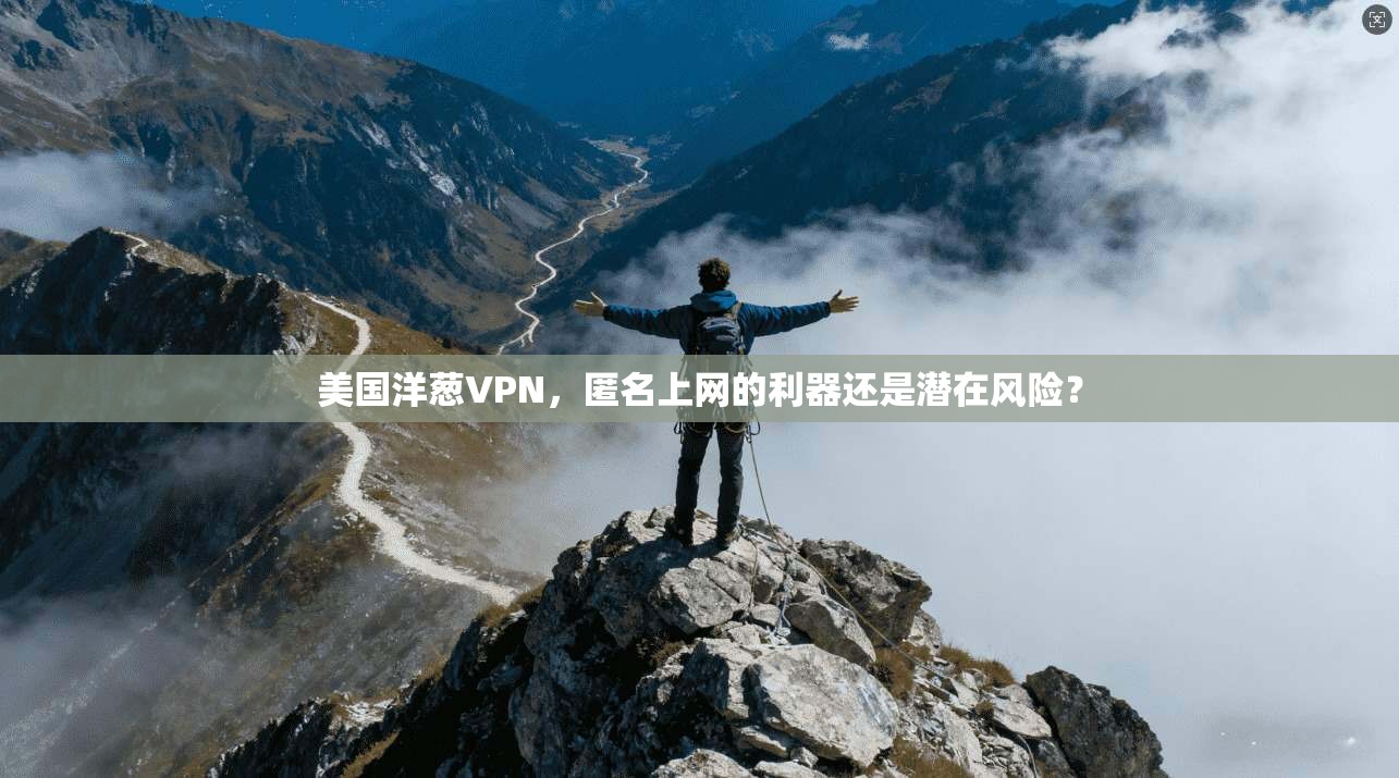 美国洋葱VPN，匿名上网的利器还是潜在风险？