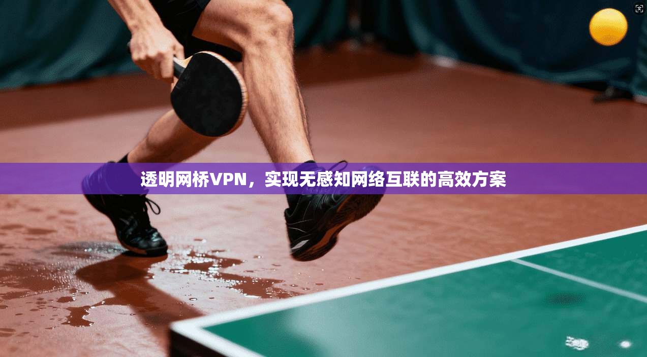 透明网桥VPN，实现无感知网络互联的高效方案