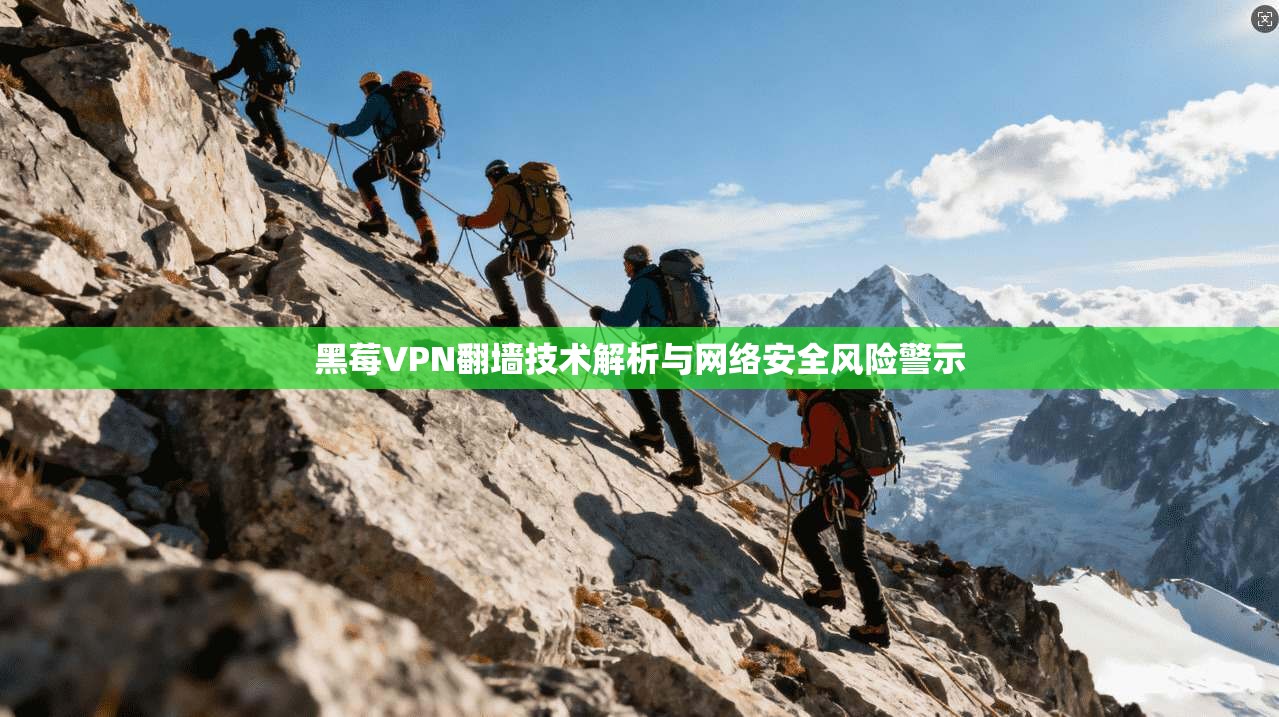 黑莓VPN翻墙技术解析与网络安全风险警示