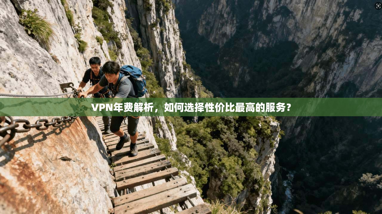 VPN年费解析，如何选择性价比最高的服务？