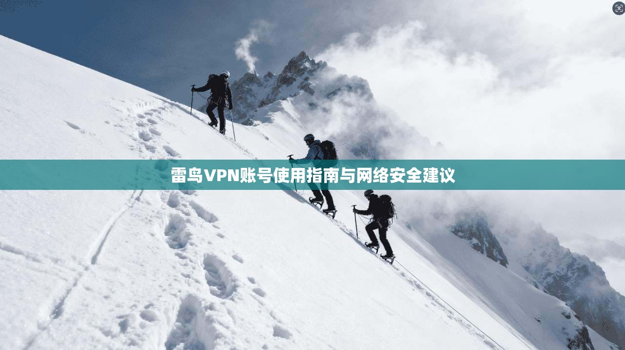 雷鸟VPN账号使用指南与网络安全建议