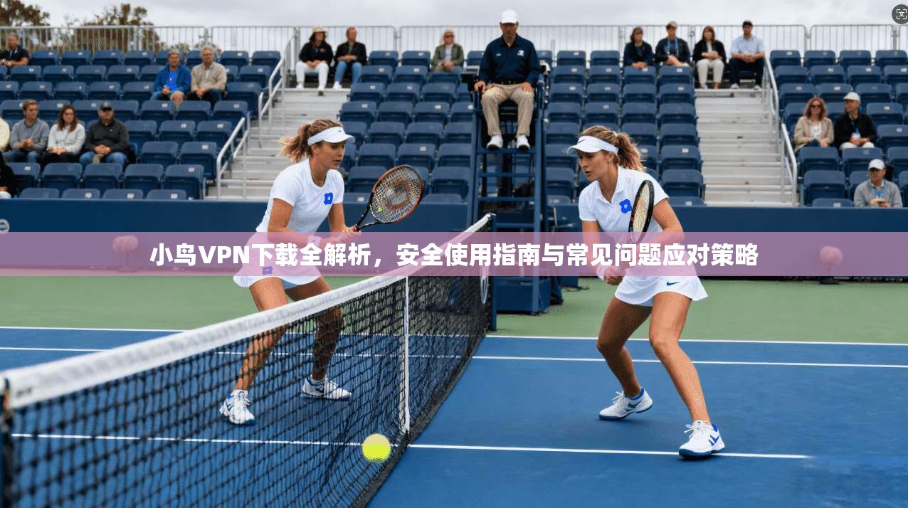 小鸟VPN下载全解析，安全使用指南与常见问题应对策略