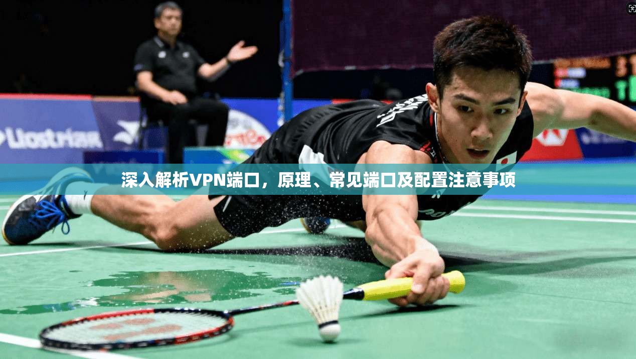 深入解析VPN端口,原理、常见端口及配置注意事项 深入解析VPN端口,原理、常见端口及配置注意事项