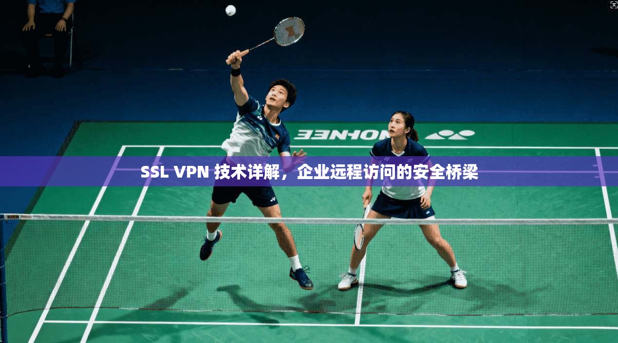 SSL VPN 技术详解,企业远程访问的安全桥梁 SSL VPN 技术详解,企业远程访问的安全桥梁