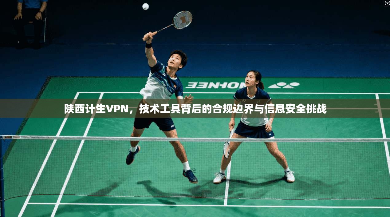 陕西计生VPN,技术工具背后的合规边界与信息安全挑战 陕西计生VPN,技术工具背后的合规边界与信息安全挑战