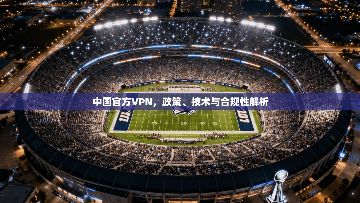 中国官方VPN,政策、技术与合规性解析 中国官方VPN,政策、技术与合规性解析