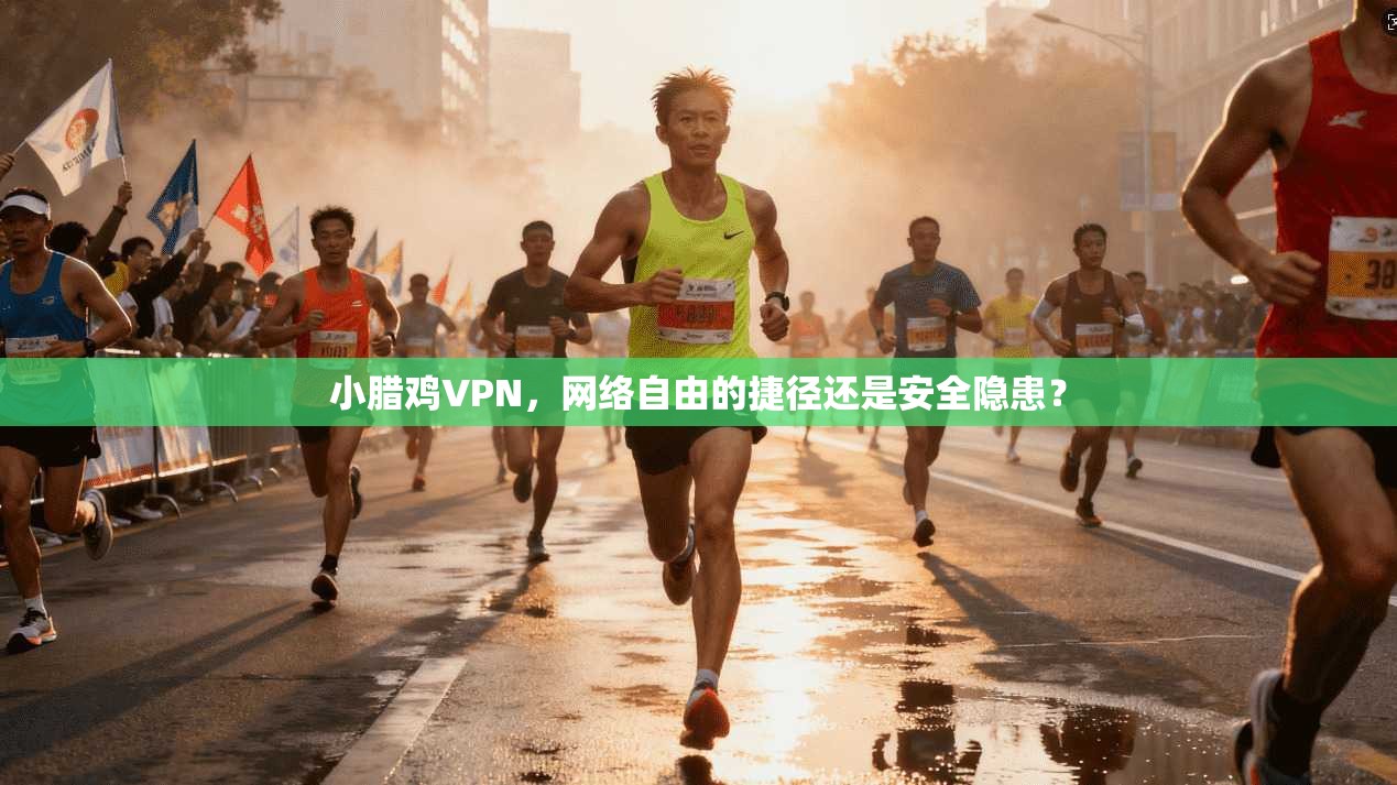 小腊鸡VPN,网络自由的捷径还是安全隐患? 小腊鸡VPN,网络自由的捷径还是安全隐患?