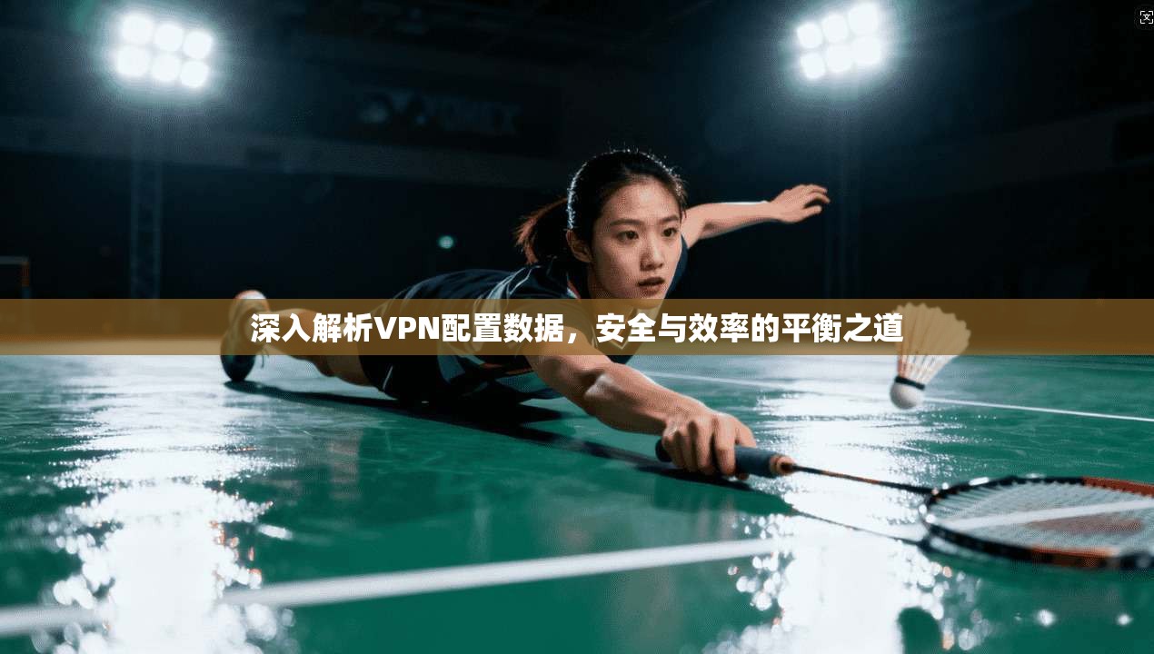 深入解析VPN配置数据,安全与效率的平衡之道 深入解析VPN配置数据,安全与效率的平衡之道