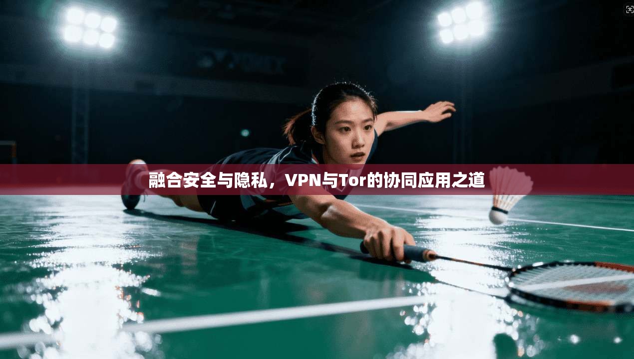 融合安全与隐私，VPN与Tor的协同应用之道