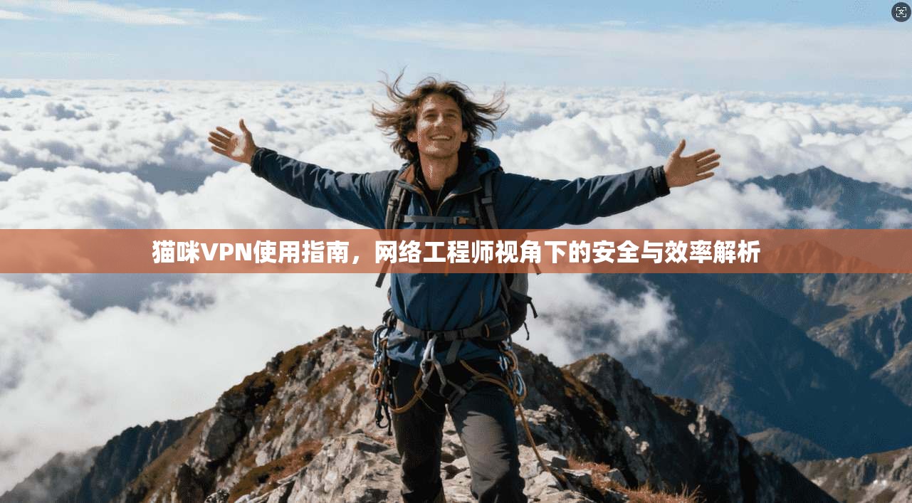 猫咪VPN使用指南,网络工程师视角下的安全与效率解析 猫咪VPN使用指南,网络工程师视角下的安全与效率解析