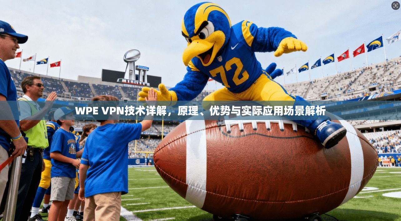 WPE VPN技术详解，原理、优势与实际应用场景解析