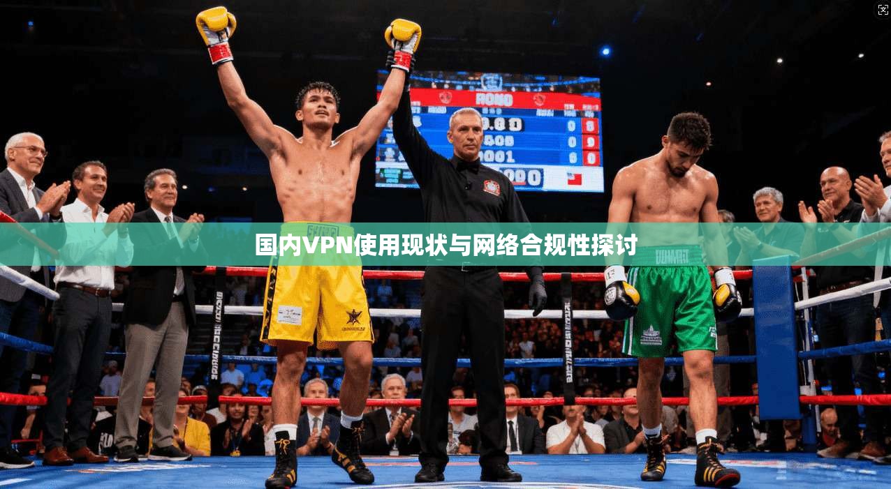 国内VPN使用现状与网络合规性探讨 国内VPN使用现状与网络合规性探讨