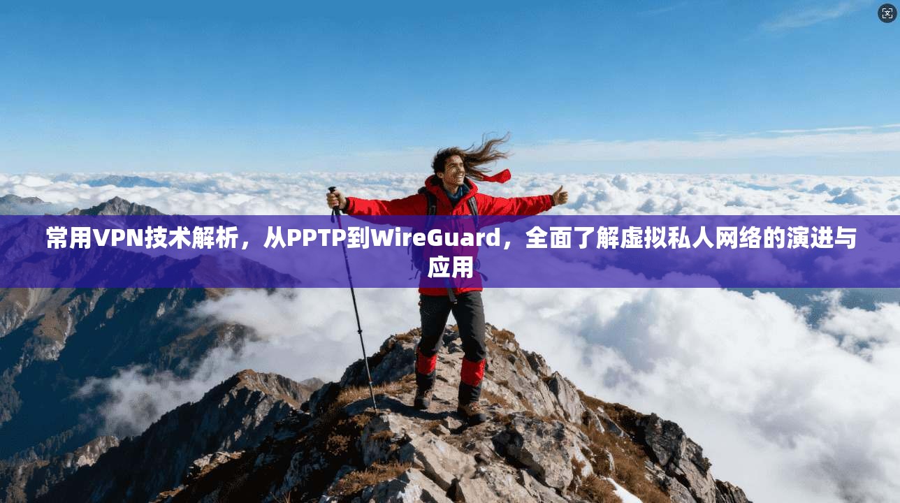 常用VPN技术解析,从PPTP到WireGuard,全面了解虚拟私人网络的演进与应用 常用VPN技术解析,从PPTP到WireGuard,全面了解虚拟私人网络的演进与应用