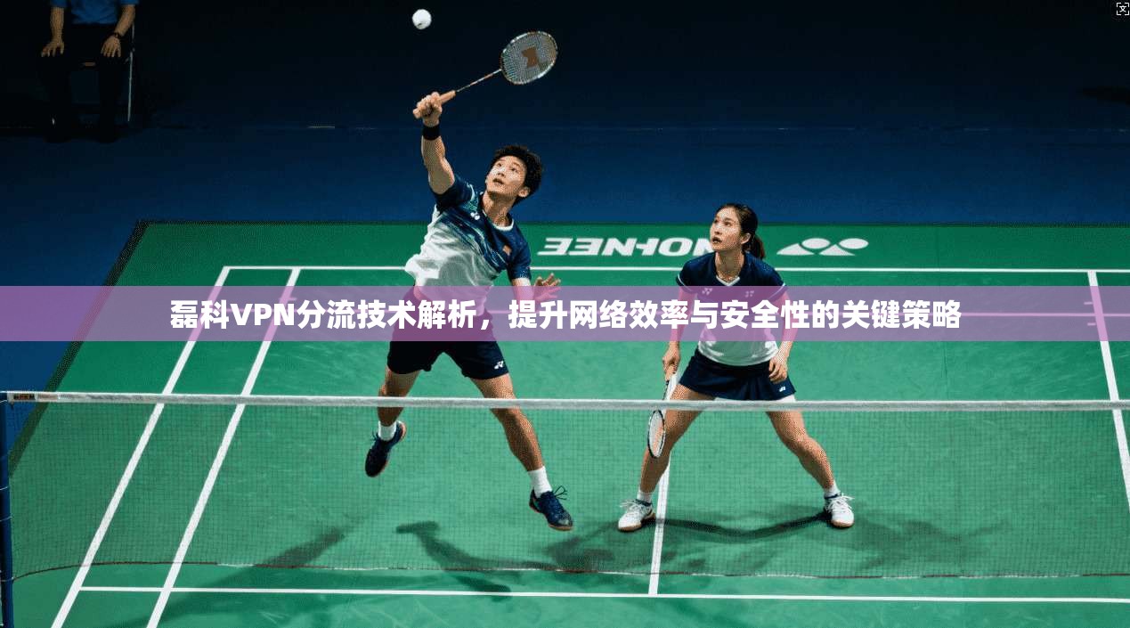 磊科VPN分流技术解析，提升网络效率与安全性的关键策略