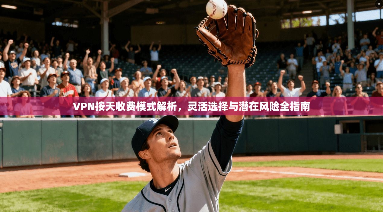VPN按天收费模式解析，灵活选择与潜在风险全指南