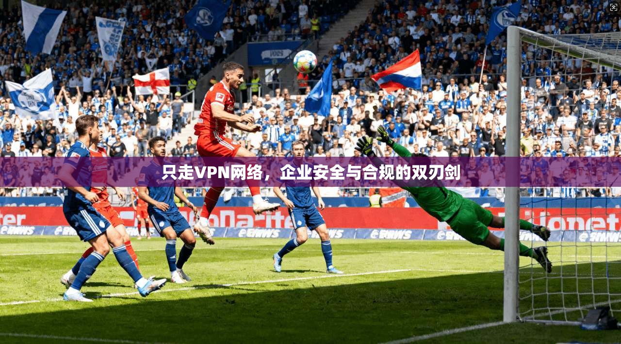 只走VPN网络，企业安全与合规的双刃剑
