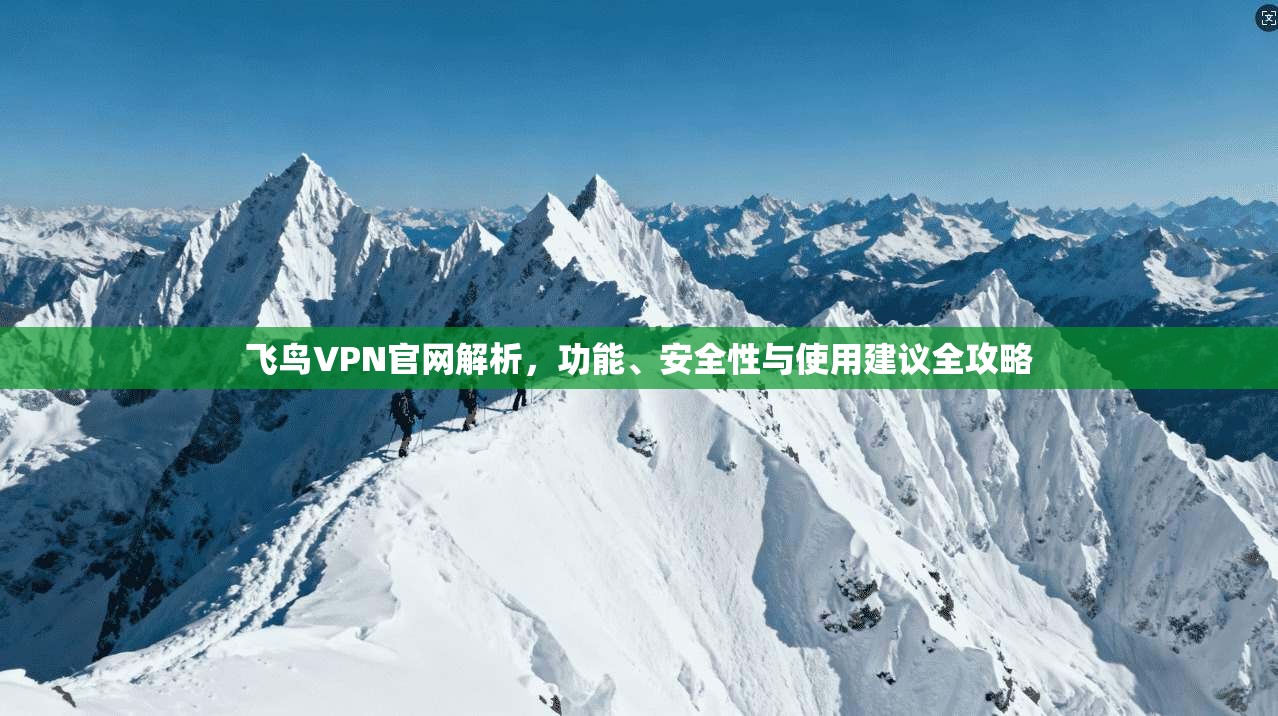 飞鸟VPN官网解析，功能、安全性与使用建议全攻略