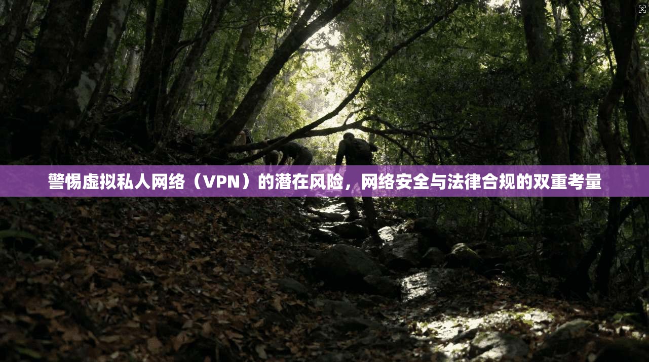警惕虚拟私人网络(VPN)的潜在风险,网络安全与法律合规的双重考量 警惕虚拟私人网络(VPN)的潜在风险,网络安全与法律合规的双重考量