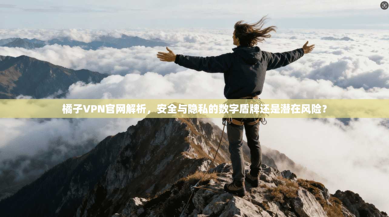 橘子VPN官网解析,安全与隐私的数字盾牌还是潜在风险? 橘子VPN官网解析,安全与隐私的数字盾牌还是潜在风险?