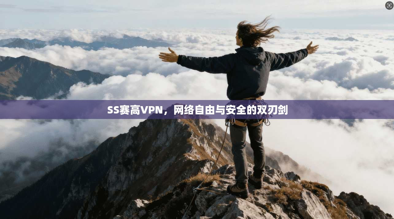 SS赛高VPN,网络自由与安全的双刃剑 SS赛高VPN,网络自由与安全的双刃剑