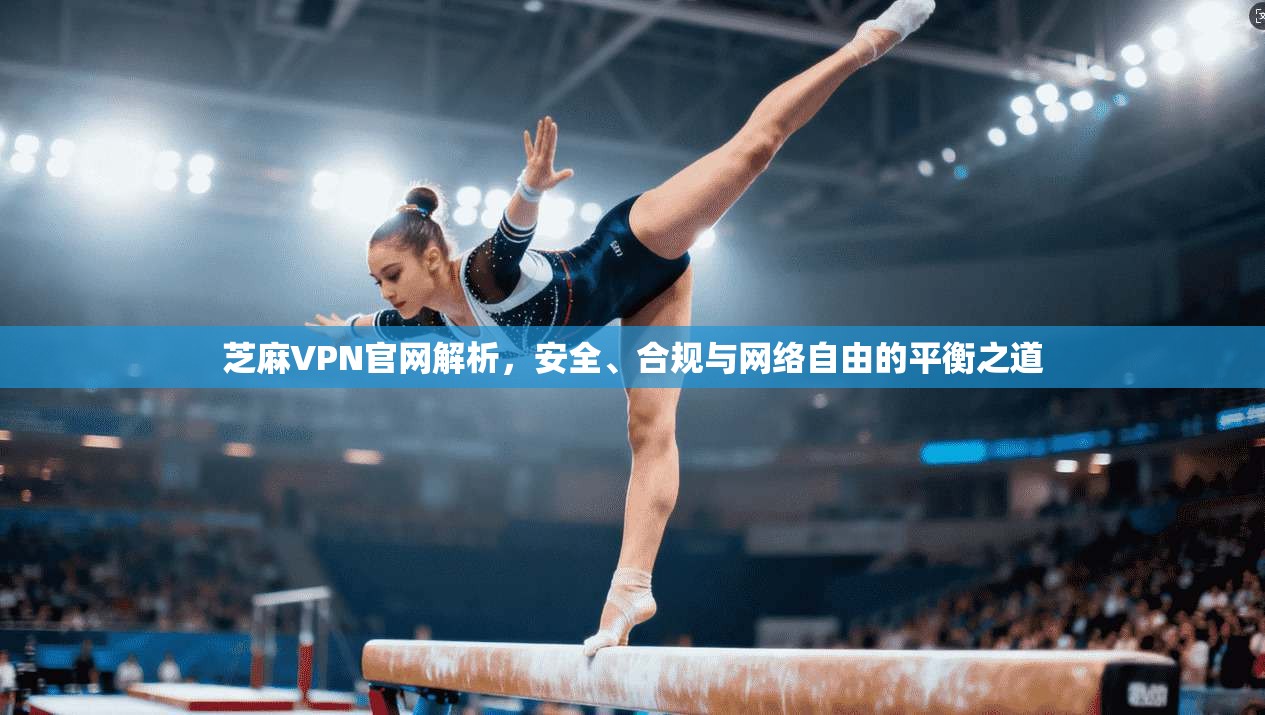 芝麻VPN官网解析，安全、合规与网络自由的平衡之道