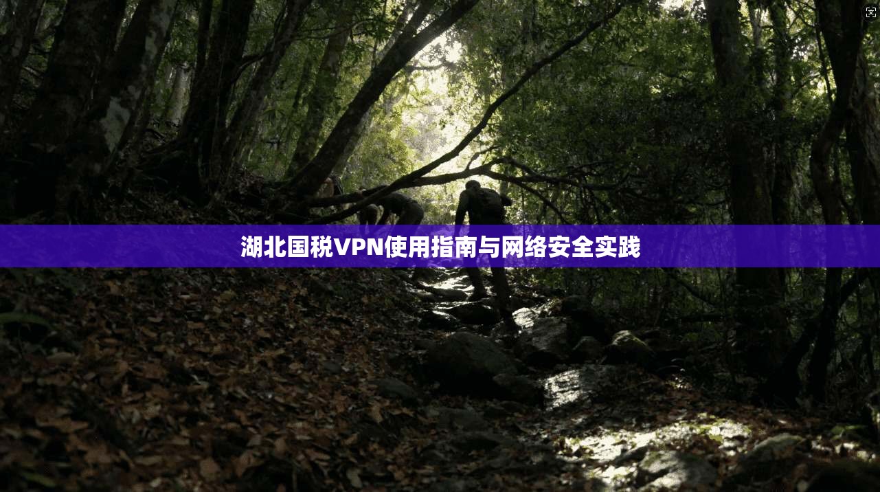 湖北国税VPN使用指南与网络安全实践