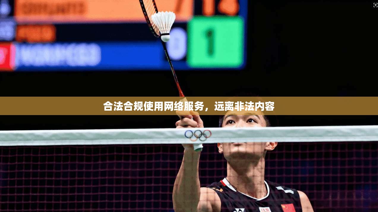 合法合规使用网络服务，远离非法内容