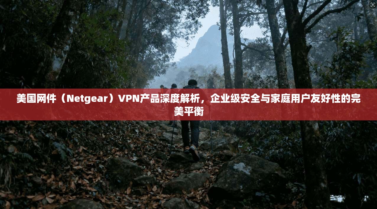 美国网件（Netgear）VPN产品深度解析，企业级安全与家庭用户友好性的完美平衡