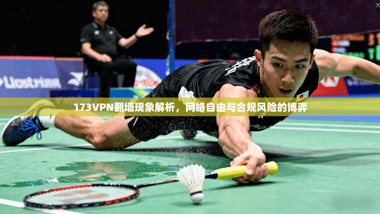 173VPN翻墙现象解析，网络自由与合规风险的博弈