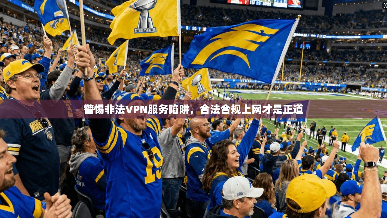 警惕非法VPN服务陷阱，合法合规上网才是正道