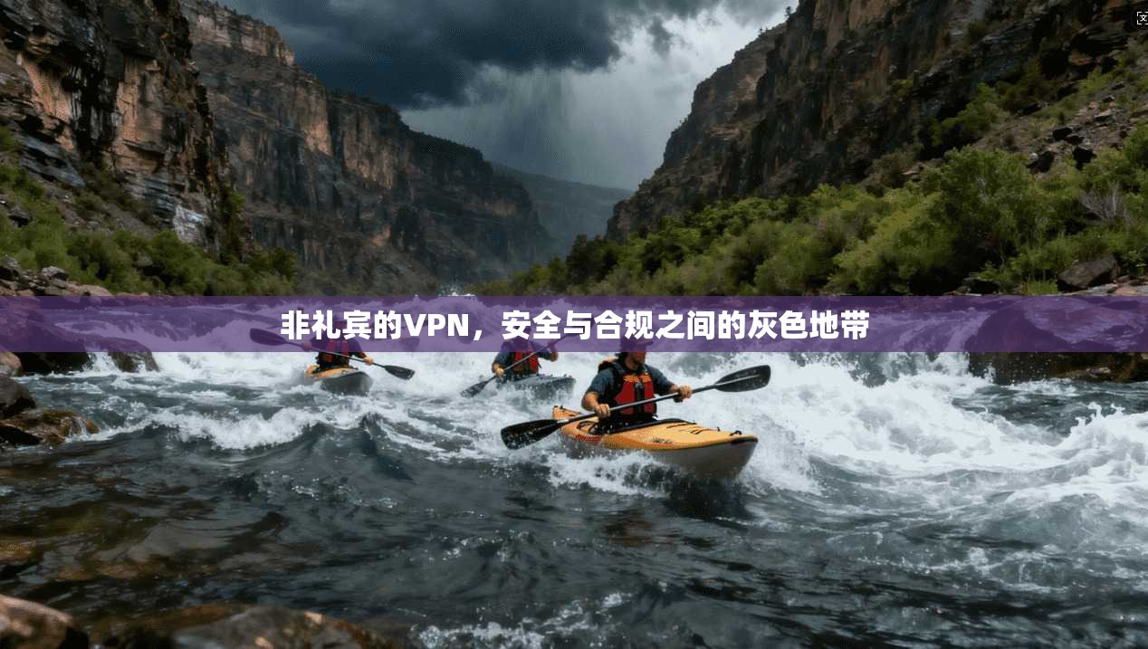 非礼宾的VPN,安全与合规之间的灰色地带 非礼宾的VPN,安全与合规之间的灰色地带