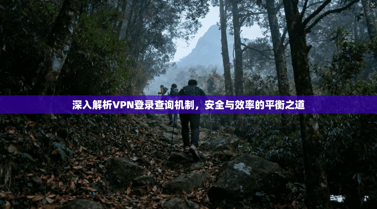 深入解析VPN登录查询机制，安全与效率的平衡之道