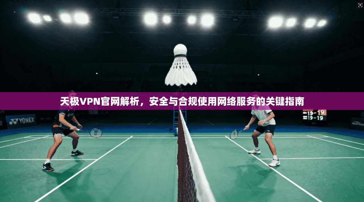 天极VPN官网解析，安全与合规使用网络服务的关键指南