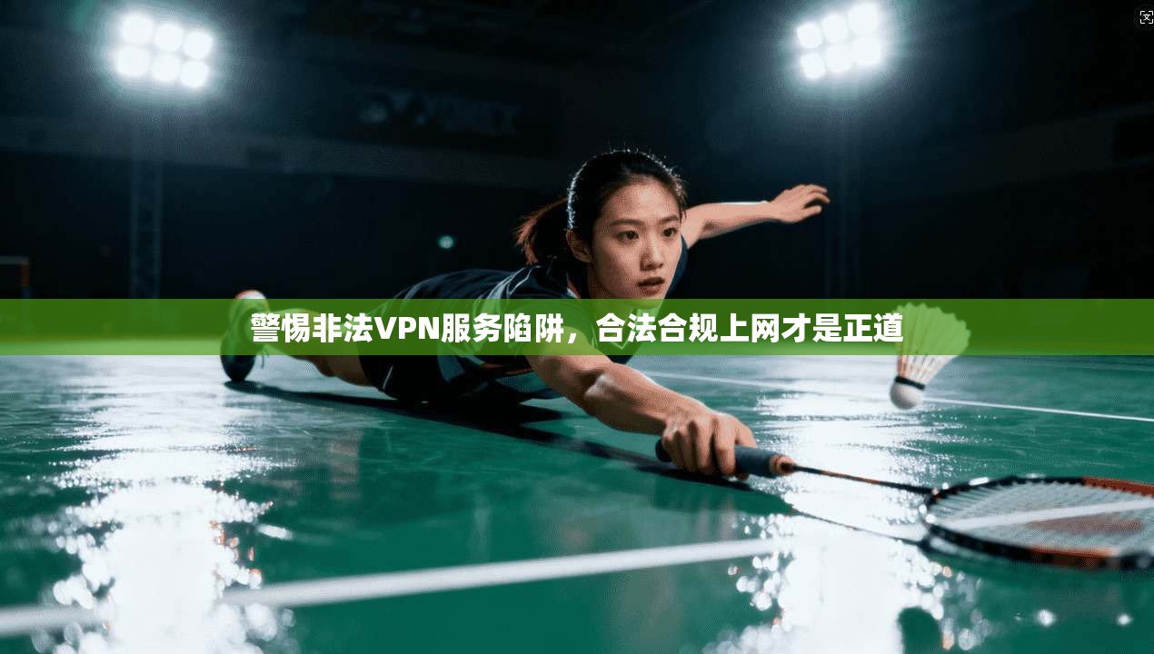 警惕非法VPN服务陷阱，合法合规上网才是正道
