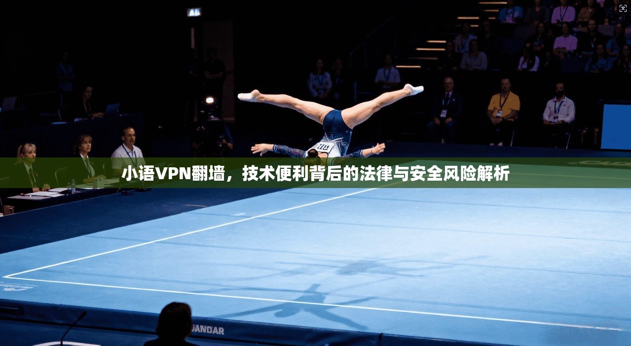 小语VPN翻墙，技术便利背后的法律与安全风险解析