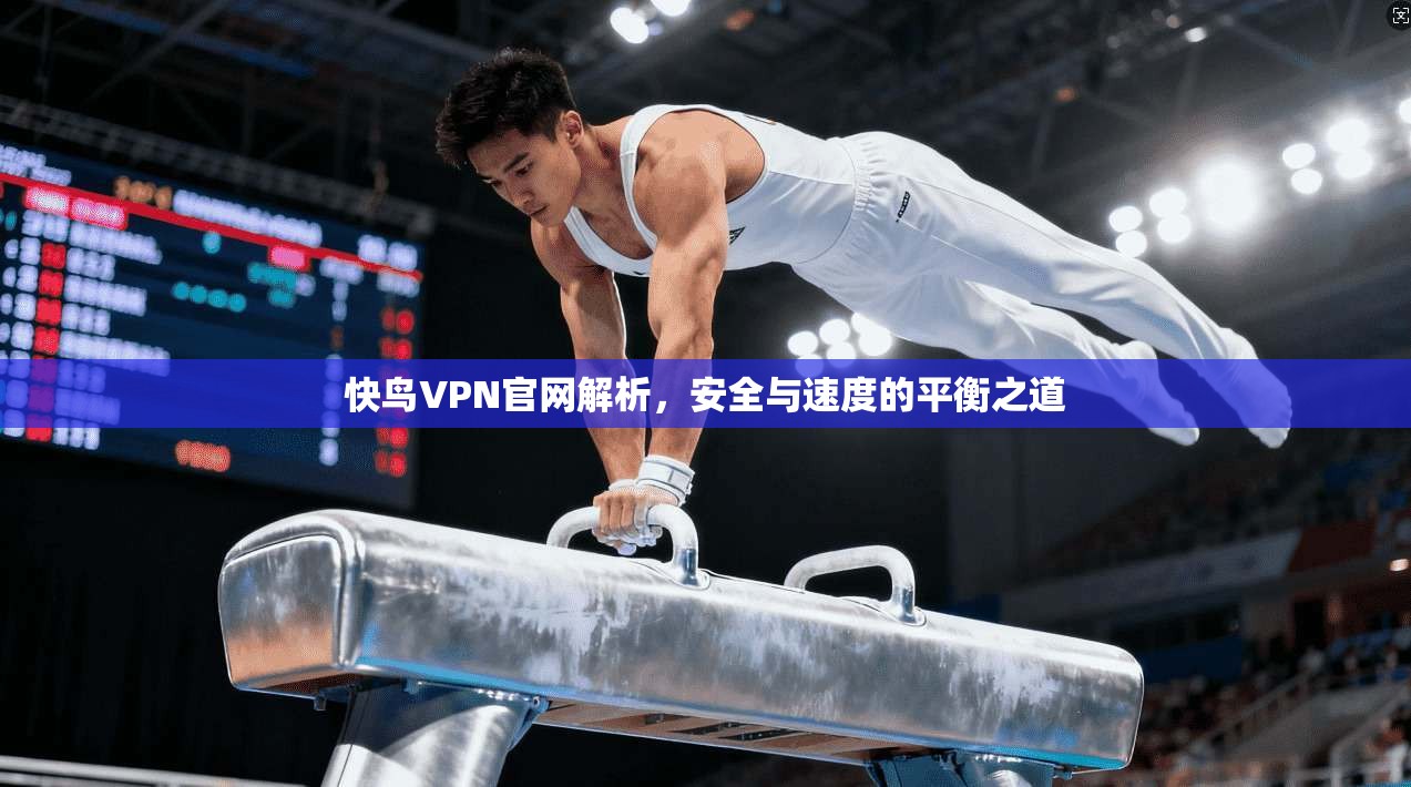 快鸟VPN官网解析,安全与速度的平衡之道 快鸟VPN官网解析,安全与速度的平衡之道