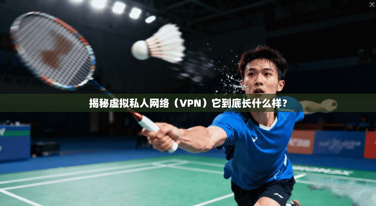 揭秘虚拟私人网络(VPN)它到底长什么样? 揭秘虚拟私人网络(VPN)它到底长什么样?